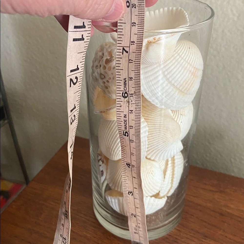 Vintage Seashells & Coral! In a Glass jar - Picture 5 of 7